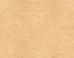 ModernStone Brick Wall