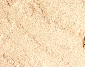 ModernStone Brick Wall