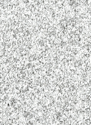ModernStone Brick Wall