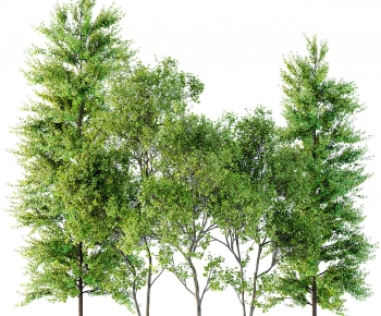 Modern Tree-ID:685051921