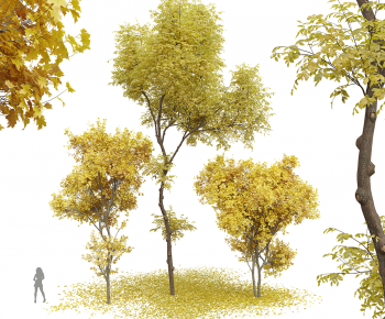 Modern Tree-ID:478141076