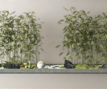 Modern Plant Landscaping-ID:581350343