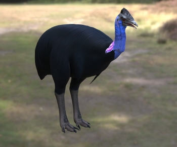 Modern Animal-ID:166856052