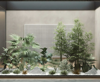 Modern Plant Landscaping-ID:558879451