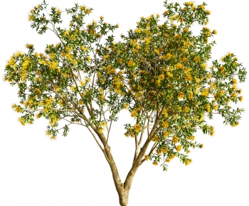 Modern Tree-ID:981199982