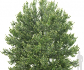 Modern Tree-ID:580029016