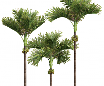 Modern Tree-ID:450730093