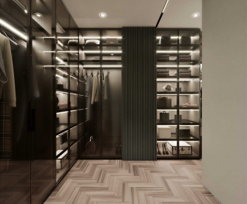 Modern Clothes Storage Area-ID:367373942