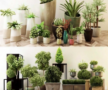 Modern Ground Green Plant Potted Plants-ID:425316105