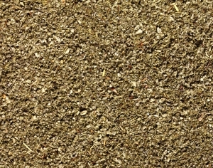 ModernFood