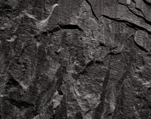 ModernStone Brick Wall