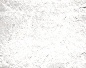 ModernStone Brick Wall