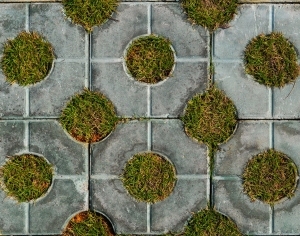 ModernGrass