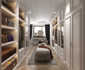 Modern Clothes Storage Area-ID:257356884