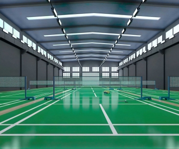 Modern Indoor Badminton Court-ID:153620966