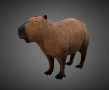 Modern Mammal-ID:483191017