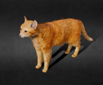 Modern Animal Cat-ID:515019912