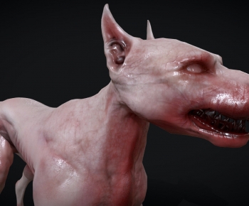 Modern Animal Dog-ID:565179115