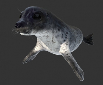 Modern Aquatic Animals-ID:608906989