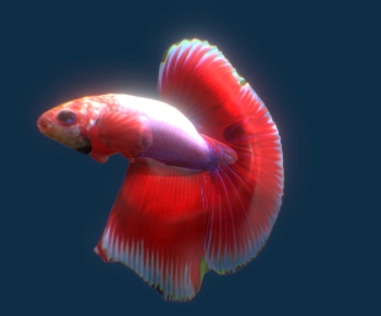 Modern Animal-ID:108129021