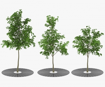 Modern Tree Pool-ID:859515912