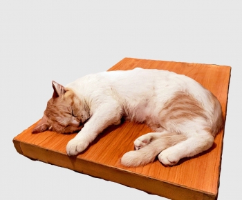 Modern Animal-ID:218280088