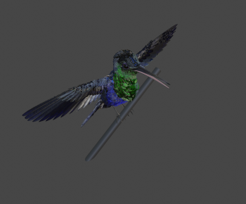 Modern Animal-ID:744410993