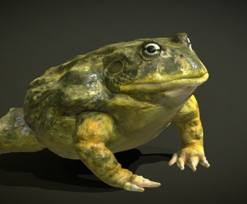 Modern Reptile-ID:635910035