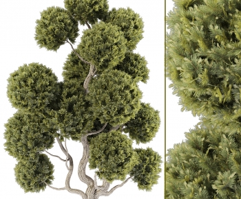 Modern Tree-ID:511085037