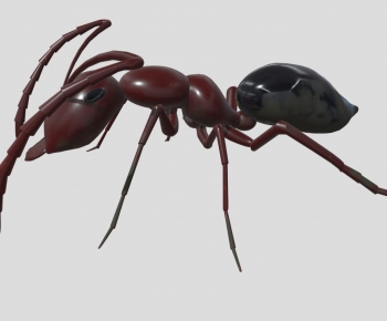 Modern Animal-ID:127979991