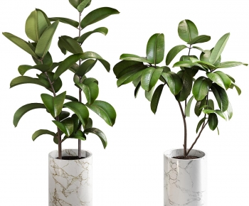 Modern Ground Green Plant Potted Plants-ID:315632106