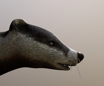 Modern Animal-ID:840327026