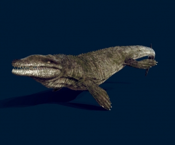 Modern Animal-ID:861799006