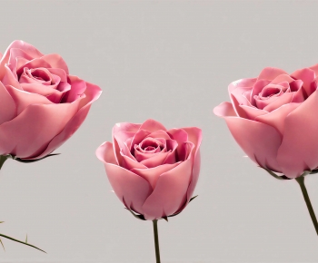 Modern Flowers And Grass-ID:854834085