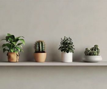 Modern Potted Green Plant-ID:842716936