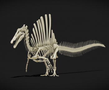 Modern Animal-ID:637053976