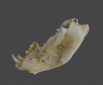 Modern Medical Equipment-ID:958884002