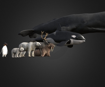 Modern Human-ID:810509928