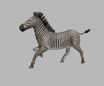 Modern Animal Horse-ID:720381025