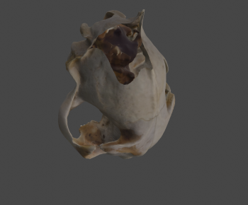 Modern Medical Equipment-ID:514230018