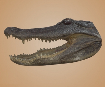 Modern Reptile-ID:806519994