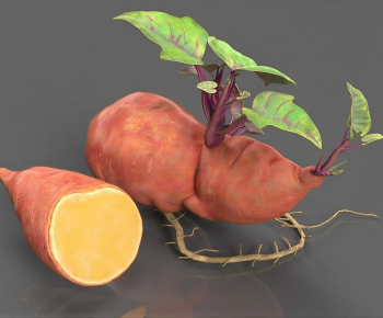 Modern Vegetables-ID:697911981