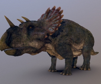 Modern Other Animals-ID:407840018