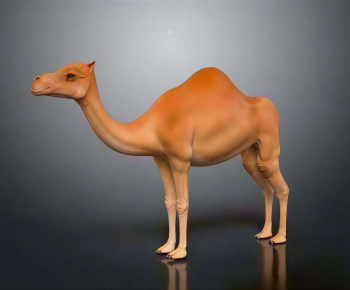 Modern Mammal-ID:578489381