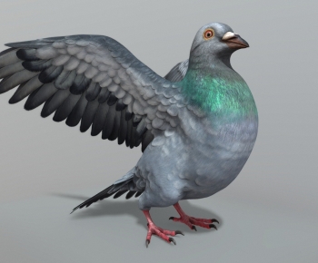 Modern Flying Animals-ID:264113906