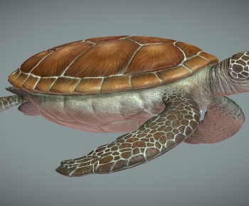 Modern Animal-ID:120471004