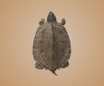 Modern Animal-ID:489568953
