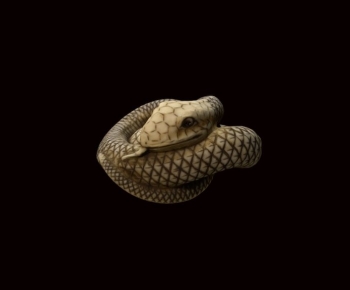 Modern Reptile-ID:574105983