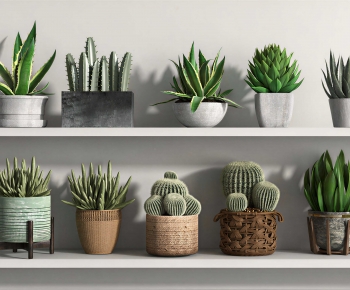 Modern Potted Green Plant-ID:677187924