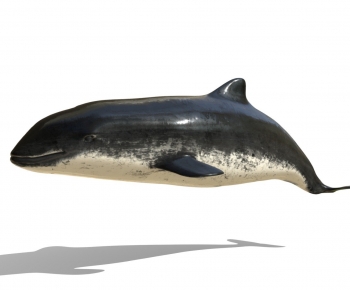 Modern Animal-ID:326329954